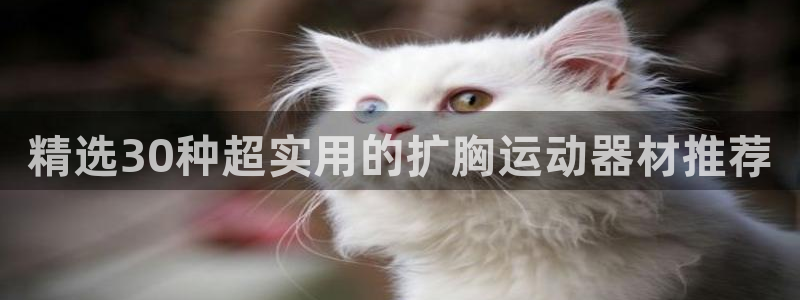 意昂体育5(KGAME)招商电话地址查询：精选30种超实用的