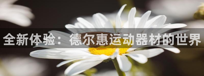 意昂体育5(KGAME)平台注册要钱吗是真的吗：全新