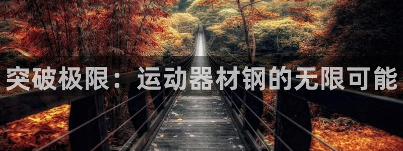 意昂体育5(KGAME)平台假的吗是真的吗：突破极限：运动器