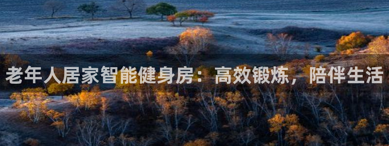 意昂体育5(KGAME)招商电话地址：老年人居家智能健身房：