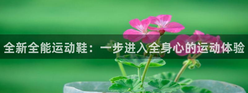 意昂5(KGAME)集团简介