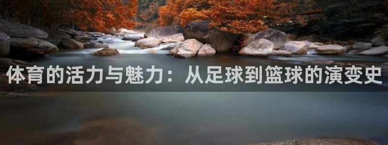 谈球吧：体育的活力与魅力：从足球到篮球的演变史