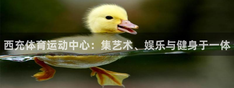 谈球吧体育官网：西充体育运动中心：集艺术、娱乐与健身于一体