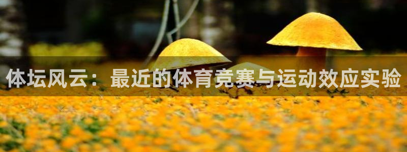 谈球吧体育官网：体坛风云：最近的体育竞赛与运动效应实验