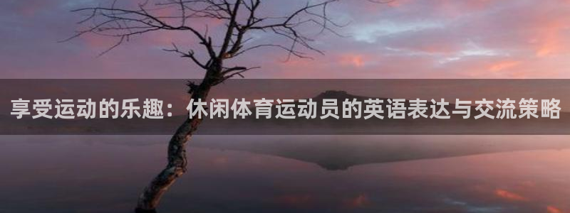 谈球吧：享受运动的乐趣：休闲体育运动员的英语表达与交流策略