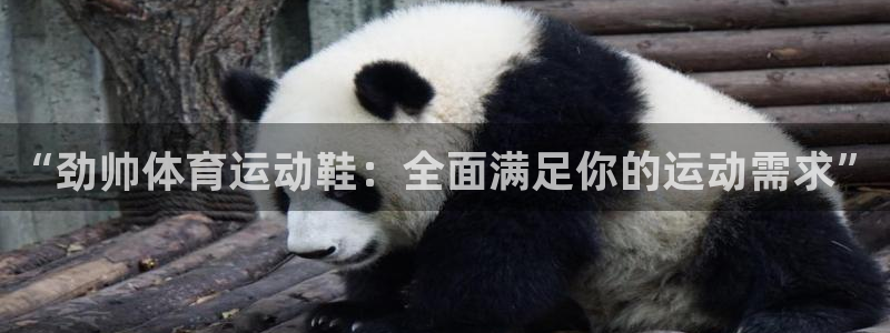 谈球吧体育官网：“劲帅体育运动鞋：全面满足你的运动需求”