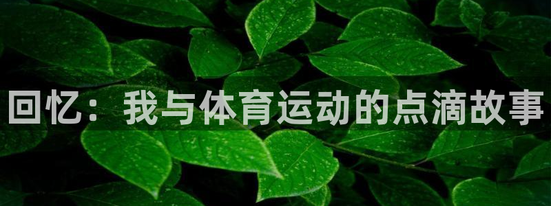 谈球吧体育官网：回忆：我与体育运动的点滴故事