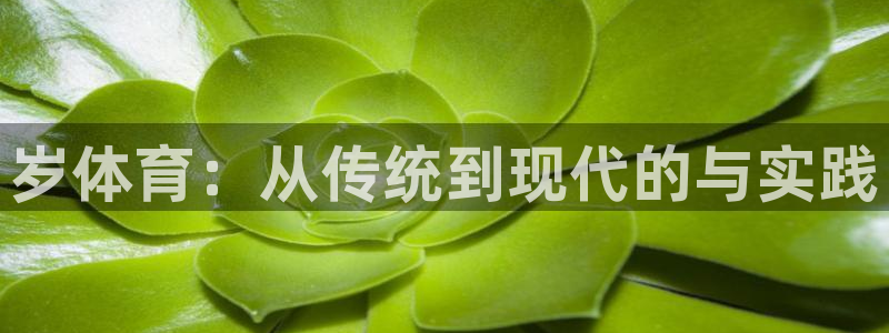 谈球吧体育：岁体育：从传统到现代的与实践