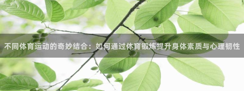 谈球吧体育：不同体育运动的奇妙结合：如何通过体育锻炼提升身体素质与心理韧性
